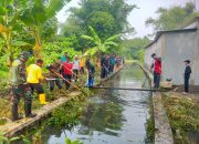Jihat Rawat Kali : Seluruh Elemen Kerja Bakti Rawat Kali.