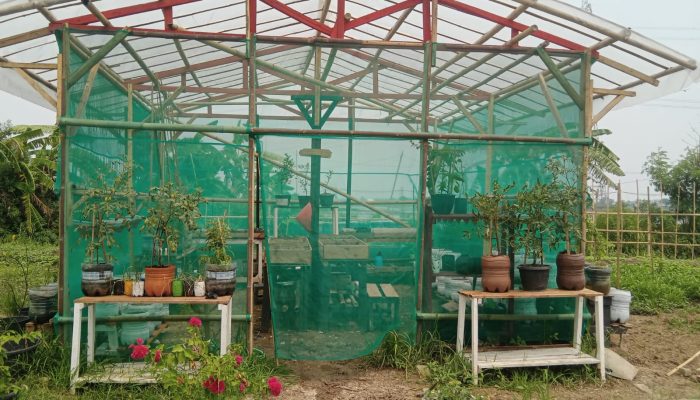 Dorong Kepedulian Dan Pengetahuan Terhadap Lingkungan Hidup SMPN 07 Cikarang Utara Terapkan Program ADIWIYATA