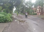 Jalan Desa Wonoanti Gandusari Trenggalek Rusak Parah, Masyarakat Resah.