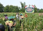 Polres Madiun Kota Panen Raya Jagung Untuk Dukung Ketahanan Pangan Nasional.