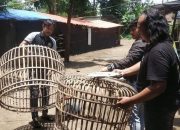 Komitmen Berantas Perjudian, Polres Nganjuk Bongkar Arena Sabung Ayam.