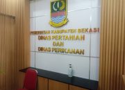 Diduga Ada Unsur Penyimpangan Anggaran Pengadaan Sapi Dinas Pertanian Kabupaten Bekasi Hingga Satu Ekor Mati Karena Sakit.