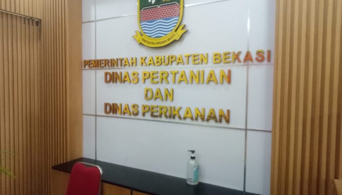 Diduga Ada Unsur Penyimpangan Anggaran Pengadaan Sapi Dinas Pertanian Kabupaten Bekasi Hingga Satu Ekor Mati Karena Sakit.