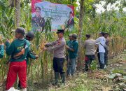Polisi dan Kelompok Tani Banyuwangi Panen Jagung Wujudkan Ketahanan Pangan.