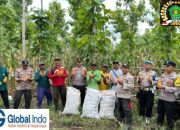 Polisi dan Kelompok Tani Banyuwangi Panen Jagung Wujudkan Ketahanan Pangan.