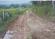 Sangat Mengkhawatirkan Dan Tak Layak Lagi Untuk Dilalui Jalan Tersebut Dusun Planggeren Kabupaten Sampang.