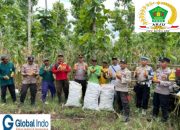 Polisi dan Kelompok Tani Banyuwangi Panen Jagung Wujudkan Ketahanan Pangan.
