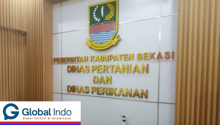 Dugaan Korupsi Pengadaan Sapi Dinas Pertanian Kabupaten Bekasi TA. 2024 Terendus, Ada Pengakuan Baru