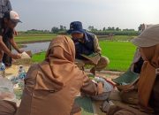 Program Tanam Padi IP 400 Diresmikan di Desa Soco, Dukung Swasembada Pangan Nasional.