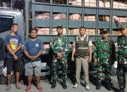 TNI, Polri, dan Karantina Banyuwangi Gagalkan Pengiriman 66 Ekor Babi Tanpa Dokumen dari Bali.