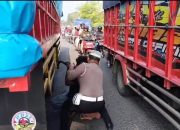 Salut, Pak Polisi ini Bantu Sopir Truk Ganti Ban di Tengah Padatnya Lalin Gresik