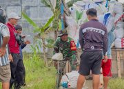 Kolaborasi TNI Dan Bulog, Kawal Serapan Gabah Dukung Program Pemerintah