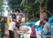 TNI Bersama Bulog Serap Gabah Petani Di Wilayah Pacitan