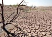 BPBD Kabupaten Bandung Sosialisasikan Tips Untuk Menghadapi Musim Kemarau