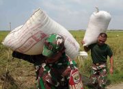 Babinsa Koramil 08/ Lemah Abang Bersama PPL Lakukan Sergap, Dukung Program Swasembada Pangan Nasional