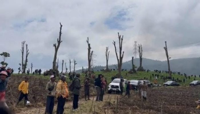 Petani Teh Pangalengan Geram, Kebun Tempat Mata Pencaharian Yang Jadi Ikon Wisata Berubah Jadi Perkebunan Sayur