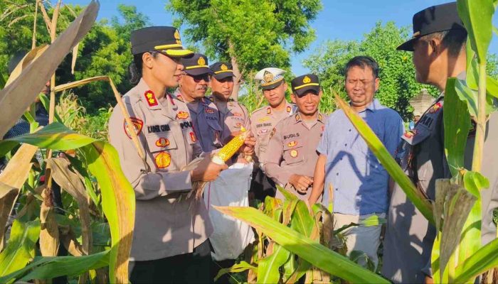 Kapolres Jembrana Turun Langsung Dampingi Warga Laksanakan Gotong Royong