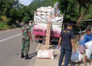 Kolaborasi TNI Dan Bulog, Kawal Serapan Gabah Demi Kesejahteraan Petani Pacitan