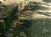 Pekerjaan Rabat Beton Dan Irigasi Di Desa Gelaman Diduga Hanya Dikerjakan Rp40 Juta”