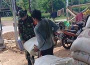 Sinergitas TNI Dan Petani, Babinsa Kawal Sergab Di wilayah Tegalombo
