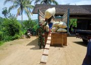 Pendampingan Serapan Gabah Oleh Babinsa Di wilayah Punung