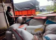 Kolaborasi TNI Dan Bulog Dukung Hanpangan Melalui Serapan Gabah Di Wilayah Pacitan