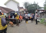 Libatkan Anjing Pelacak Polisi Kembali Cari Korban Longsor di Trenggalek