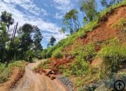 Jalur Vital Bandar–Jeruk Longsor, Dinas PUPR Pacitan Sigap Lakukan Penanganan