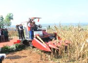 Dukung Swasembada Pangan, Kapolda Jatim Bersama Forkopimda Panen Raya Jagung Kuartal II di Ngawi