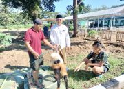 Rayakan Idul Adha 1446 H, Dandim Pacitan Pimpin Acara Penyembelihan Hewan Kurban