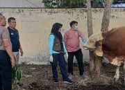 Polres Madiun Kota Datangkan Dokter Hewan Pastikan Kesehatan Hewan Kurban