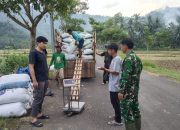 Kawal Sergab Di Wilayah Arjosari, Bukti Sinergi TNI Dengan Petani