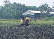 Lurah Guyung Turun ke Sawah: Dukung Langsung Petani Brambang dan Optimalkan Lahan Pertanian