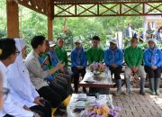 Panen Raya Kopi Ijen, Wapres Dukung Peningkatan Produktivitas, Hilirisasi Dan Branding Kopi Indonesia