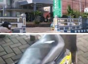 Praktek Uang Riba Yang Berujung Perampasan Dilakukan Pegawai BPRS Sumenep Dan Oknum Polisi