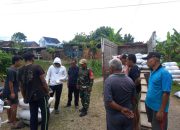 TNI Dukung Dan Tingkatkan Kesejahteraan Petani Wilayah Pacitan Dengan Mengawal Sergab