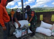 Komitmen TNI Dukung Hanpangan Di Wilayah Pacitan Melalui Program Sergab