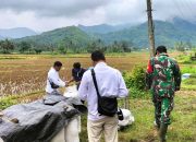 Babinsa Koramil 0801/03 Arjosari Terjun Lapangan Pastikan Harga Gabah Petani Sesuai Standar