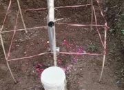 Viral Bambu Petuk di Cianjur Dianggap Mistis karena Alirkan Air, Ini Faktanya