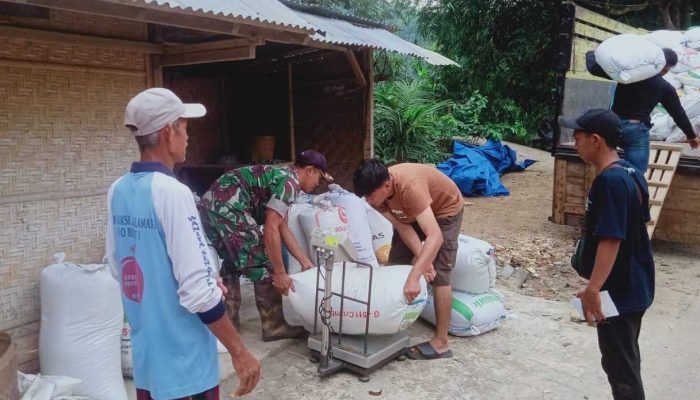 Tak Kenal Hari Libur, Babinsa Koramil 0801/03 Arjosari Kawal Serapan Gabah Petani