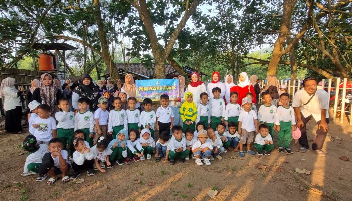 Pelestarian alam laut, TK Kartika IV-18 Pacitan Bersama Pesanggrahan Berkah Penyu Lepas Liarkan Tukik