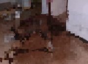 Bau Menyengat Bongkar Misteri Kematian Bambang Hariyanto Di Sumenep