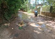 Jalan Protokol Arjasa–Pajanangger yang Terlupakan: Potret Keadilan Yang Tak Pernah Singgah Di Kepulauan