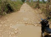 Masyarakat Arjasa–Pajanangger Lelah dengan Janji Manis, Jalan Rusak Tak Kunjung Diperbaiki