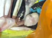 Polisi Selidiki Kasus Kematian Bayi 8 Bulan di Pulau Kangean