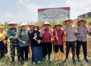 Kapolres Madiun Bersama Petani Gelar Panen Raya Jagung Serentak Kuartal III, Sekaligus Salurkan Bansos