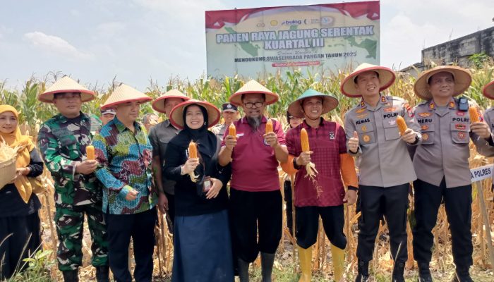Kapolres Madiun Bersama Petani Gelar Panen Raya Jagung Serentak Kuartal III, Sekaligus Salurkan Bansos