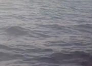 Gelombang Amarah Nelayan Kangean, Kapal PT KEI Kembali Muncul di Laut