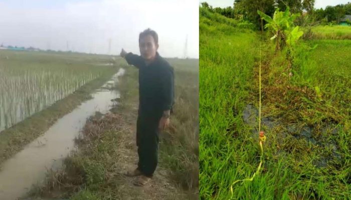 Dampak Proyek Jababeka 9 Dikeluhkan Petani, Sawah Karsan Tertimbun Urugan Tanah Nyaris Tak Bisa Ditanami