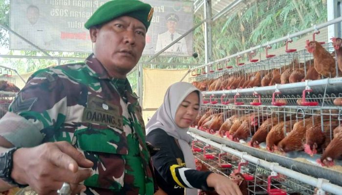Dukung Program Ketahanan Pangan, Babinsa Koramil 08/ Lemah Abang Berikan Pendampingan Kepada Peternak